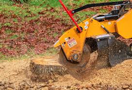 Best Tree and Shrub Care  in Montrose, VA